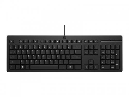 HP 125 Wired Mouse and Keyboard Combo-EURO (12 sztuk) [266C9A6]