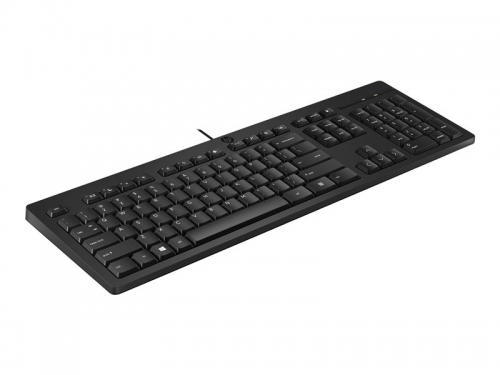 HP 125 Wired Mouse and Keyboard Combo-EURO (266C9AA)