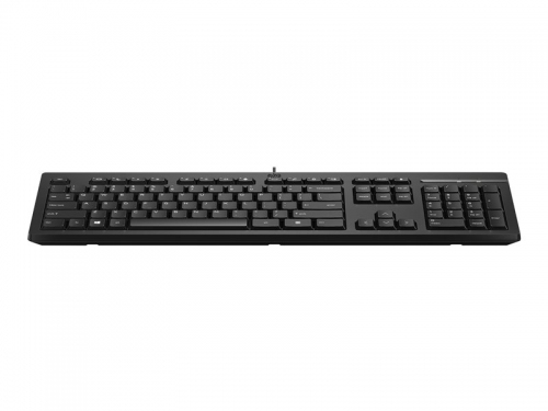 HP 125 Wired Mouse and Keyboard Combo-EURO (266C9AA)