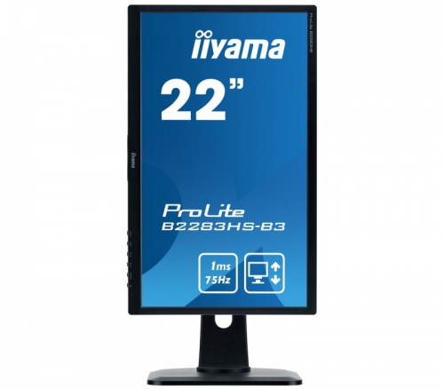 IIYAMA Monitor 21.5 ProLite [B2283HS-B3]