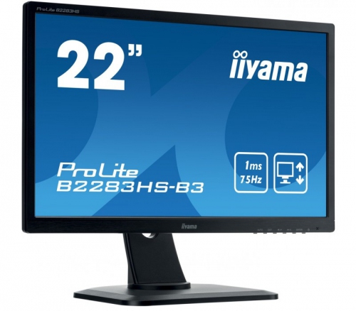 IIYAMA Monitor 21.5 ProLite [B2283HS-B3]