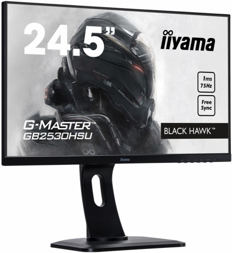 IIYAMA Monitor G-MASTER  Free Sync [GB2530HSU-B1]