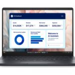 Dell Pro 13 Premium PA13250 [BTO208_PA13250_EMEA]